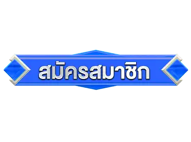 แบนเนอร์ 4